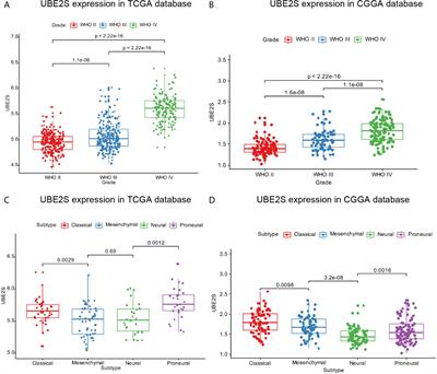 Molecular and Clinical Characterization of UBE2S in Glioma as a Biomarker for Poor Prognosis and Resistance to Chemo-Radiotherapy